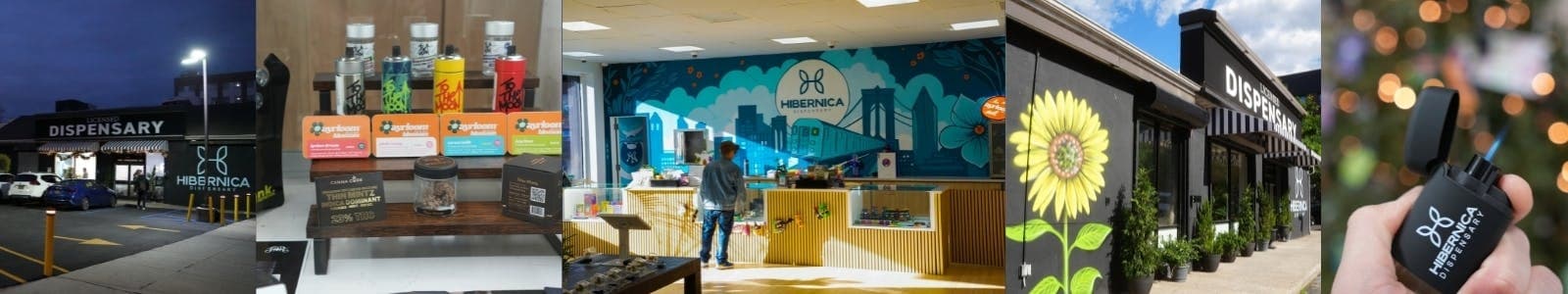 Hibernica
